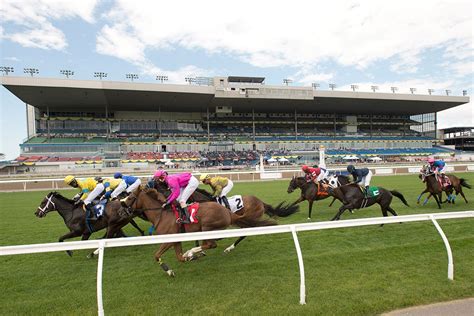 drf stakes schedule 2022.